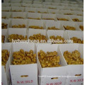 2014 new crop fresh ginger 12kg/ctn Linyi origin